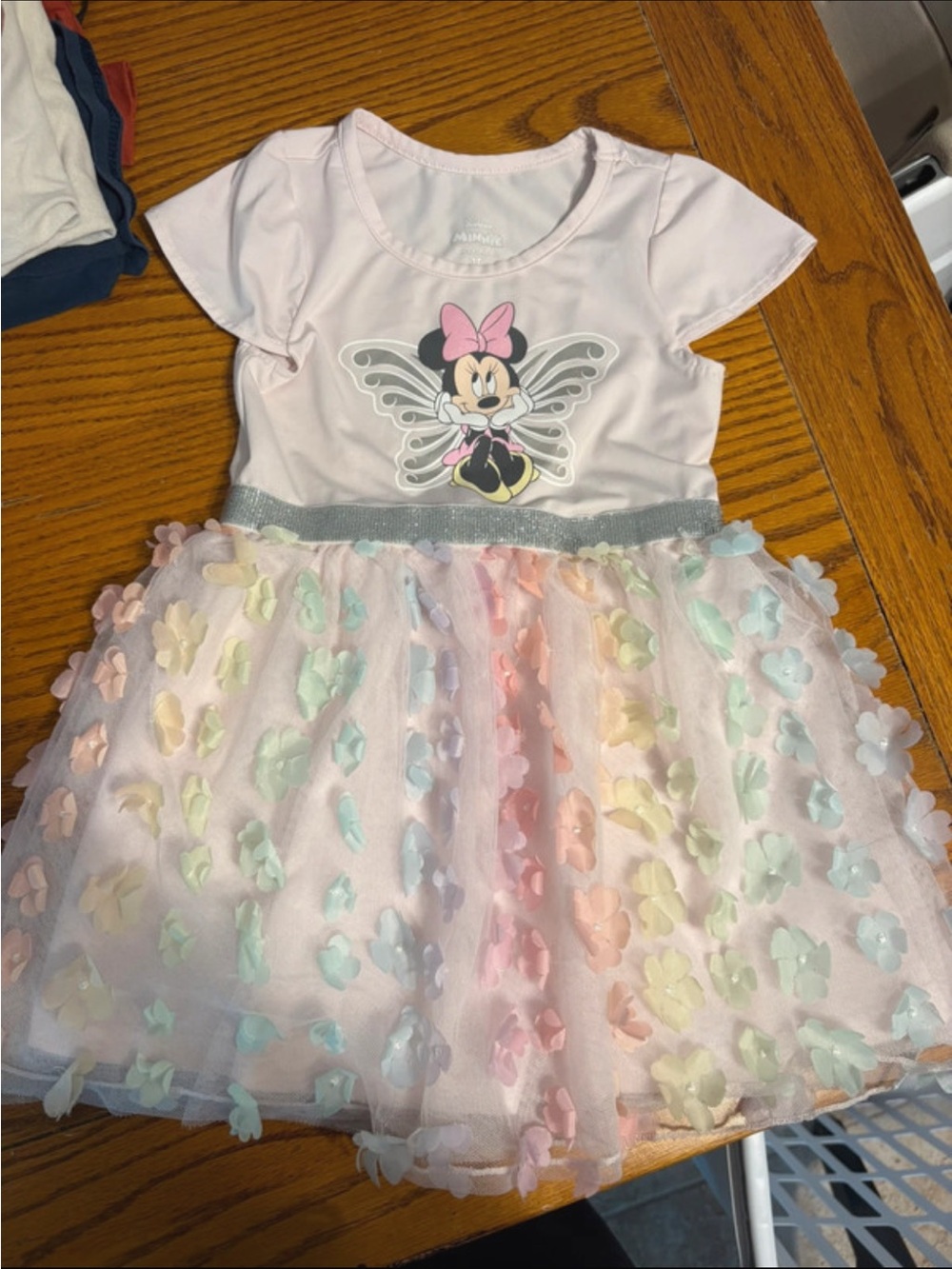 Disney Pink Minnie Mouse Pastel Flower Tulle Dress